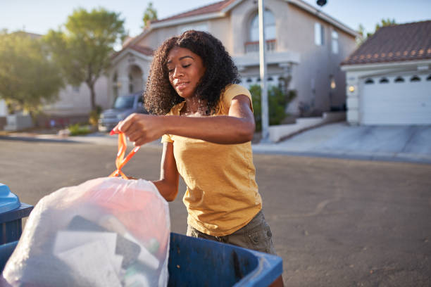 Yard Cleanup Services in San Ysidro, NM