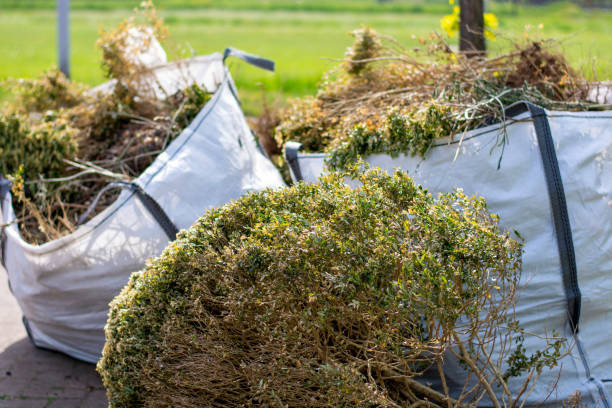 Best Same-Day Junk Removal  in San Ysidro, NM