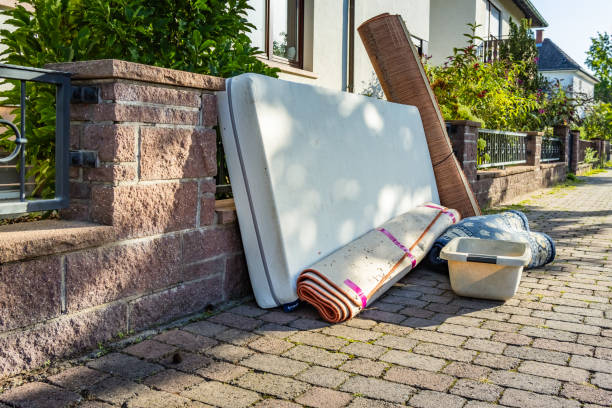Best Yard Waste Removal  in San Ysidro, NM