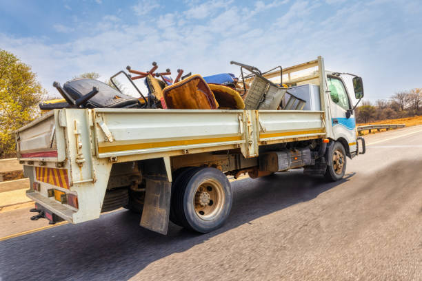 Best Yard Cleanup Services  in San Ysidro, NM